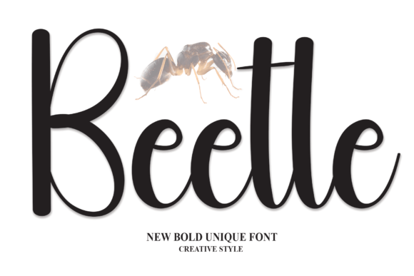 Beetle Font Review: A Friendly Handwritten Typeface for Branding