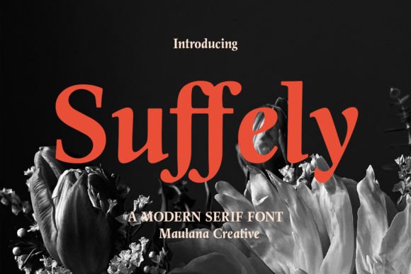 Suffely: A Modern Display Serif Font That Elevates Web Design